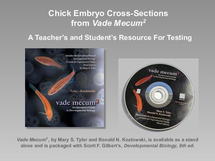 Chick Embryo Cross-Sections from Vade Mecum2  A Teacher’s and Student’s Resource