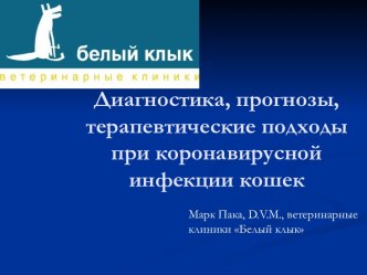 Диагностика, прогнозы, терапевтические подходы при коронавирусной инфекции кошек