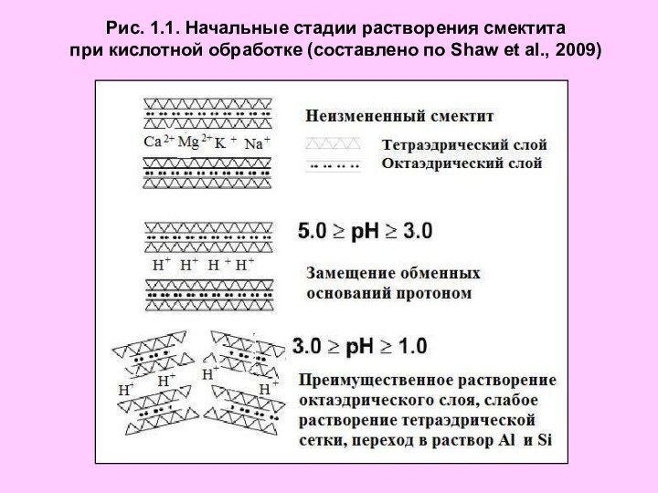 Рис. 1.1. Начальные стадии растворения смектита при кислотной обработке (составлено по Shaw et al., 2009)