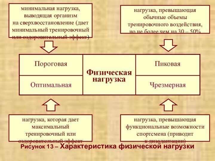 Рисунок 13 – Характеристика физической нагрузки