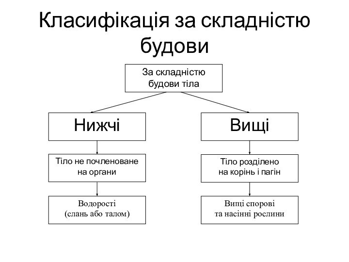 Класифікація за складністю будови