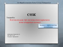 Клетка-ең ұсақ тірі система,оның құрылысы және атқаратын қызметі