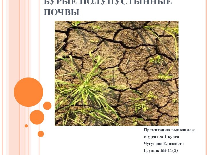 БУРЫЕ ПОЛУПУСТЫННЫЕ ПОЧВЫПрезентацию выполнила:студентка 1 курсаЧугунова ЕлизаветаГруппа: ББ-11(2)