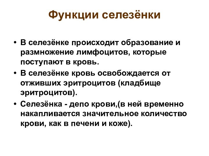 Функции селезёнкиВ селезёнке происходит образование и размножение лимфоцитов, которые поступают в кровь.В