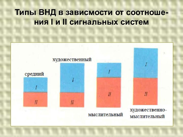 Типы ВНД в зависмости от соотноше- ния I и II сигнальных систем