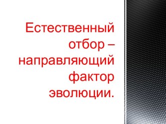 Естественный отбор – направляющий фактор эволюции