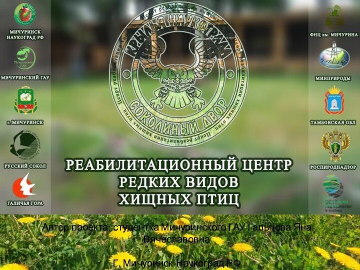 Автор проекта: студентка Мичуринского ГАУ Гальцова Яна ВячеславовнаГ. Мичуринск-Наукоград РФ