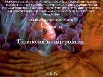 Гипоксия и нипероксия. (Лекция 13)