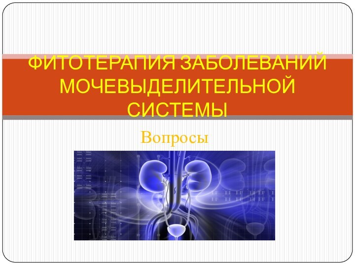 ВопросыФИТОТЕРАПИЯ ЗАБОЛЕВАНИЙ МОЧЕВЫДЕЛИТЕЛЬНОЙ СИСТЕМЫ