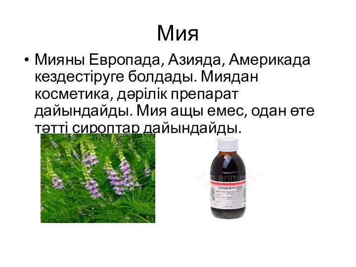 МияМияны Европада, Азияда, Америкада кездестіруге болдады. Миядан косметика, дәрілік препарат дайындайды. Мия