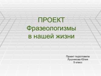 Проект. Фразеологизмы в нашей жизни. Понятие о сказке