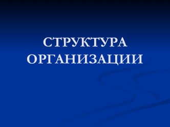 Структура организации