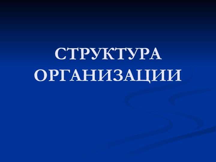 СТРУКТУРА ОРГАНИЗАЦИИ