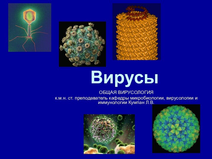 ВирусыОБЩАЯ ВИРУСОЛОГИЯк.м.н. ст. преподаватель кафедры микробиологии, вирусологии и иммунологии Кумпан Л.В.