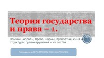 Теория государства и права – 1. Обычаи, мораль, право, нормы, правоотношения и их структура, правонарушения и их состав