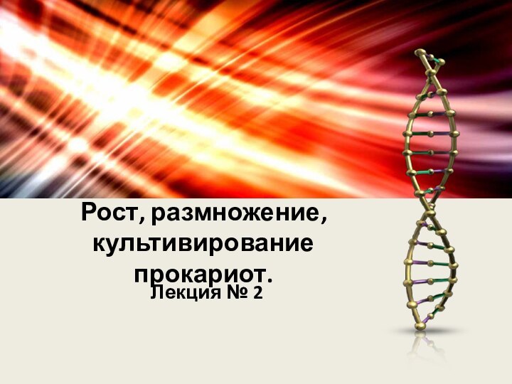 Рост, размножение, культивирование прокариот.Лекция № 2