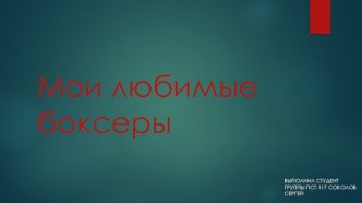 Мои любимые боксеры