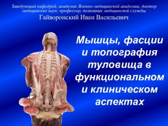 Мышцы, фасции и топография туловища в функциональном и клиническом аспектах