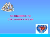 Особенности строения клетки