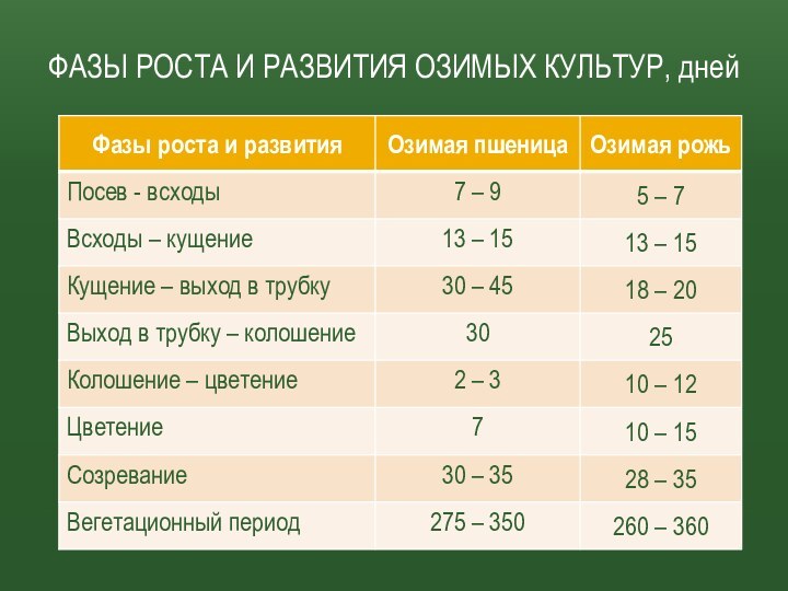 ФАЗЫ РОСТА И РАЗВИТИЯ ОЗИМЫХ КУЛЬТУР, дней