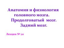 Анатомия и физиология головного мозга. Продолговатый мозг. Задний мозг