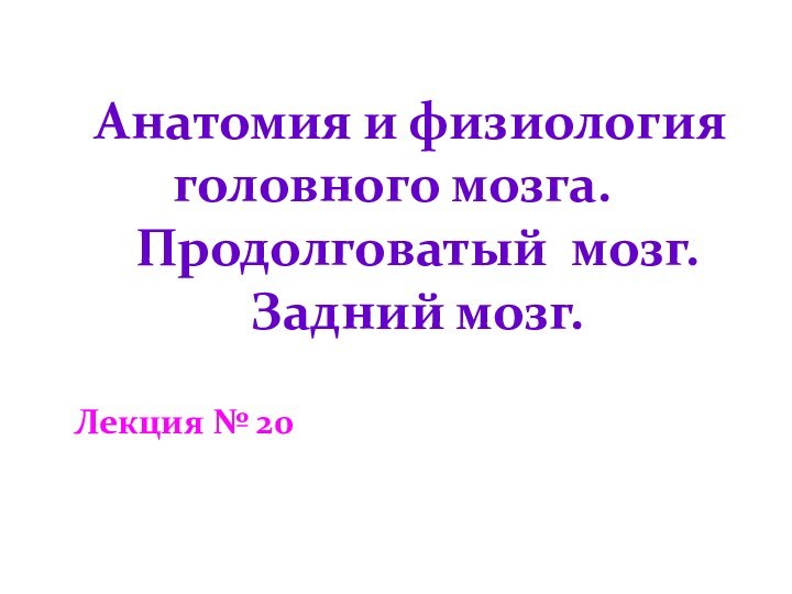 Анатомия и физиология головного мозга.   Продолговатый мозг.