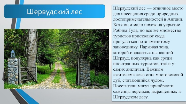 Шервудский лесШервудский лес — отличное место для посещения среди природных достопримечательностей в