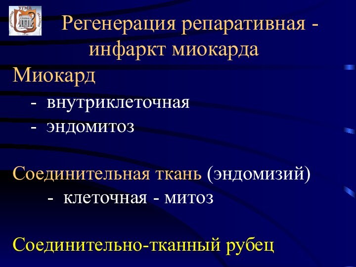 Регенерация репаративная -