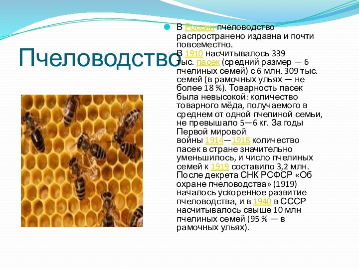ПчеловодствоВ России пчеловодство распространено издавна и почти повсеместно. В 1910 насчитывалось 339 тыс. пасек (средний размер — 6 пчелиных