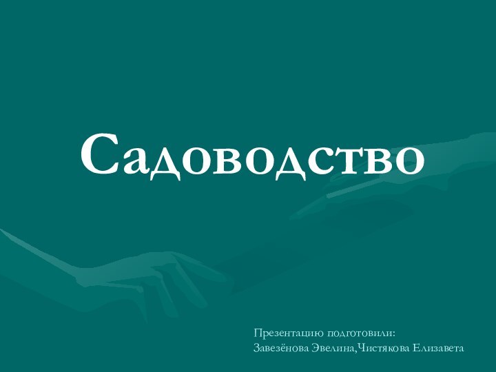 CадоводствоПрезентацию подготовили:Завезёнова Эвелина,Чистякова Елизавета