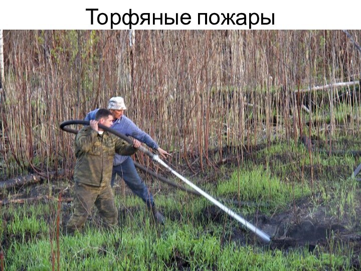 Торфяные пожары