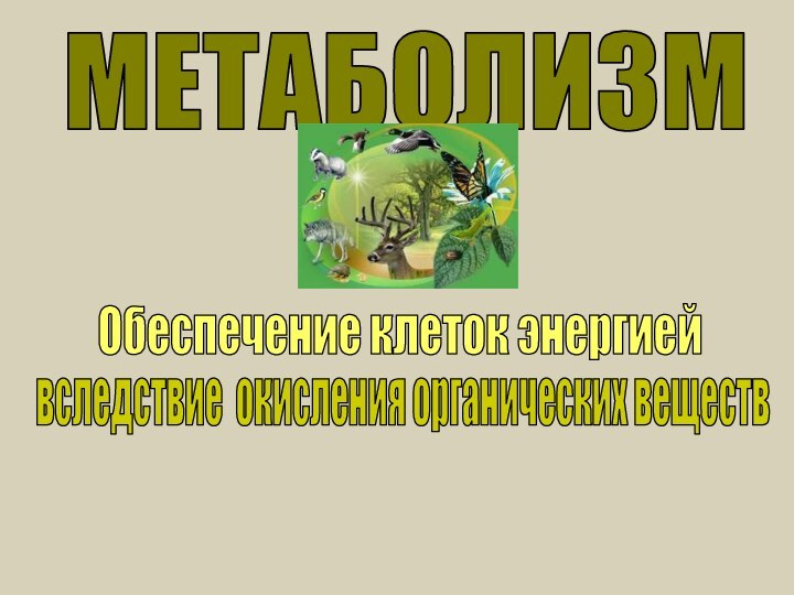 МЕТАБОЛИЗМОбеспечение клеток энергиейвследствие окисления органических веществ