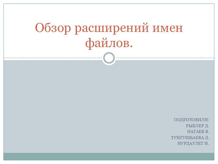 ПОДГОТОВИЛИ:РЫБЛЕР Д.НАГАЕВ В.ТУНГУШБАЕВА Д.НУРДАУЛЕТ И.Обзор расширений имен файлов.