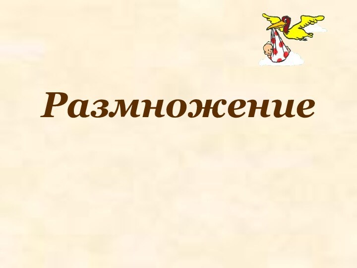 Размножение