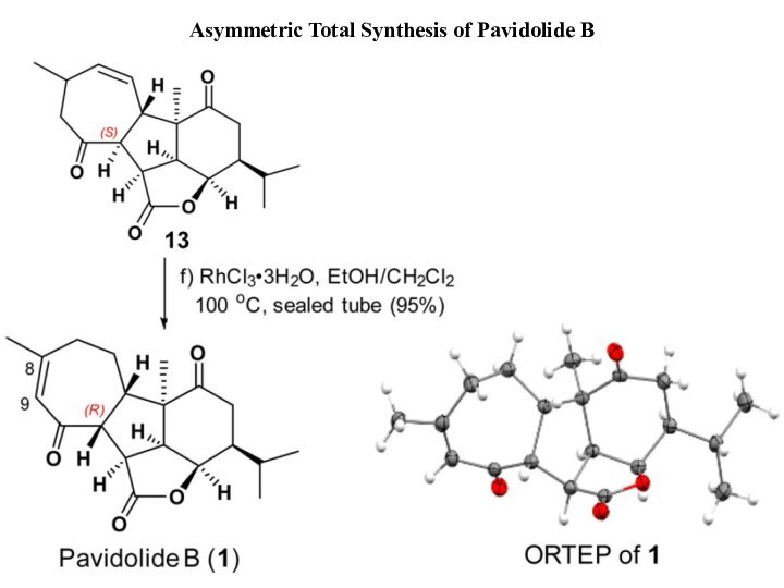 Asymmetric Total Synthesis of Pavidolide B
