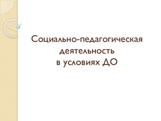 Социально-педагогическая деятельность в условиях ДО