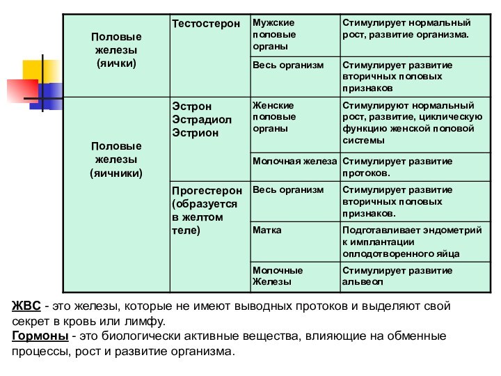 ЖВС - это железы, которые не имеют выводных протоков и выделяют свой