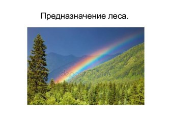 Предназначение леса