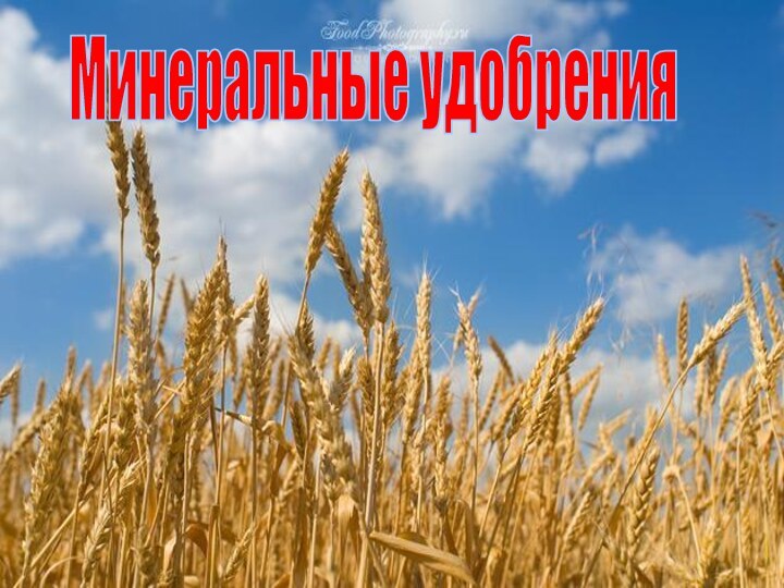 Минеральные удобрения