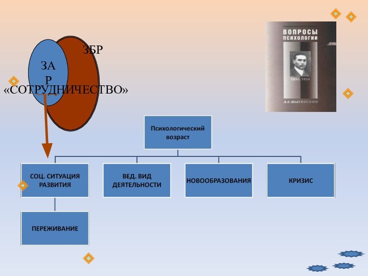 ЗАРЗБР«СОТРУДНИЧЕСТВО»