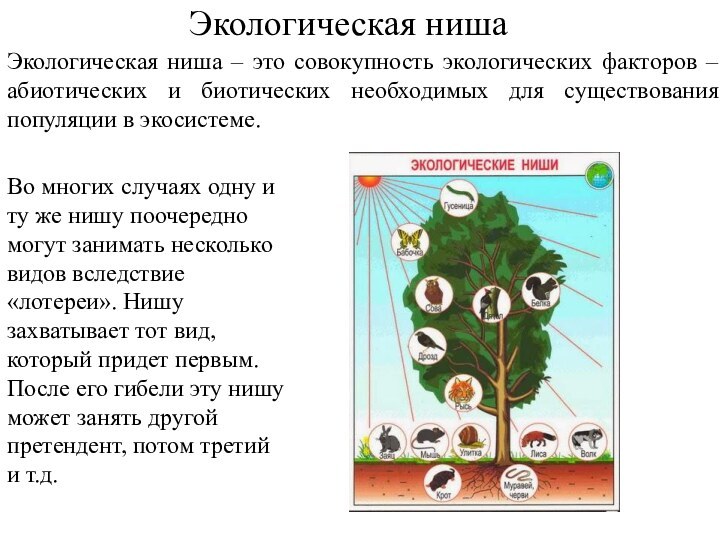 Экологическая нишаЭкологическая ниша – это совокупность экологических факторов – абиотических и биотических