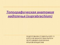 Топографическая анатомия надплечья (suprabrachium)