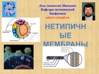 Нетипичные мембраны. Мембраны архебактерий