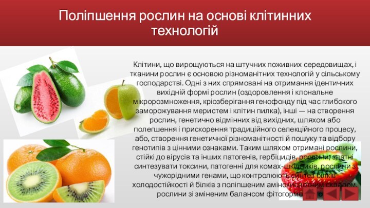 Поліпшення рослин на основі клітинних технологійКлітини, що вирощуються на штучних поживних середовищах,