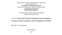 Технические средства, применяемые при таможенном досмотре и поиске (на примере Санкт-Петербургской таможни)