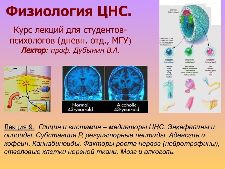 Физиология ЦНС.Курс лекций для студентов- психологов (дневн. отд., МГУ)  Лектор: проф.