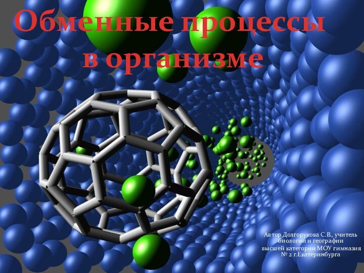 Автор Долгорукова С.В., учитель биологии и географиивысшей категории МОУ гимназия № 2 г.ЕкатеринбургаОбменные процессы в организме