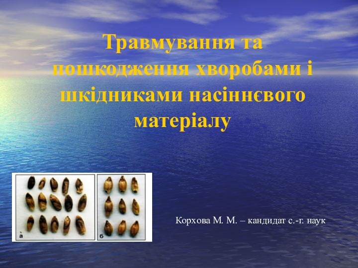 Травмування та пошкодження хворобами і шкідниками насіннєвого матеріалуКорхова М. М. – кандидат с.-г. наук