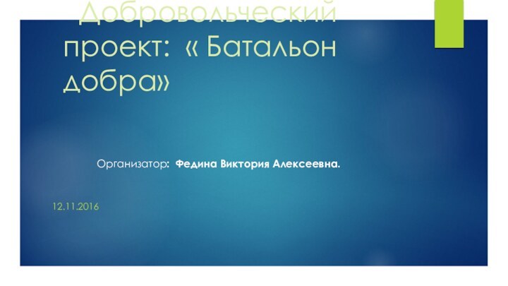 Добровольческий       проект: « Батальон добра»