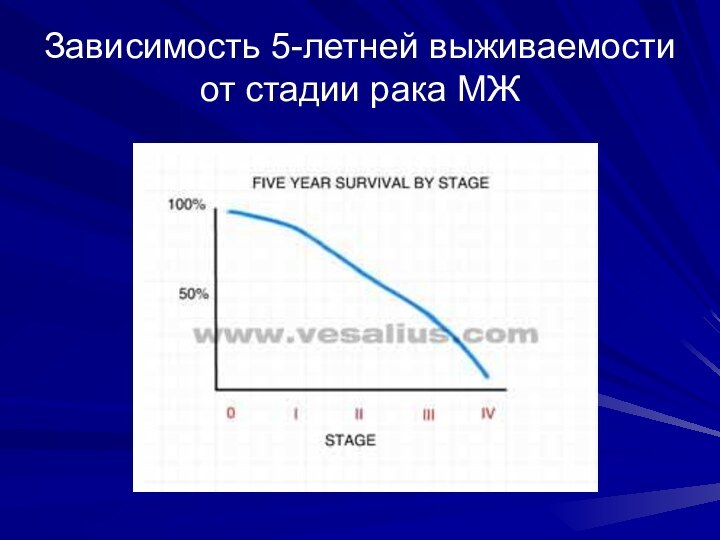 Зависимость 5-летней выживаемости от стадии рака МЖ